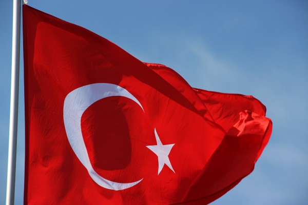 Турция намерена подписать таможенное соглашение с ЕАЭС — Ремонт дома